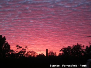IMG_4303T